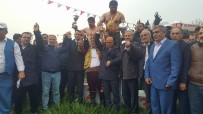 YAĞLI GÜREŞ - Büyükşehirli Güreşçiler 2017'Ye Hızlı Başladı