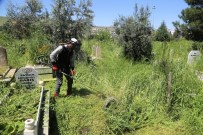 CİZRE BELEDİYESİ - Cizre Belediyesi Asri Mezarlığında Temizleme Ve Bakım Çalışmasını Başlattı
