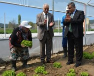 İRFAN TATLıOĞLU - Engelleri Tarımla Aşıyorlar