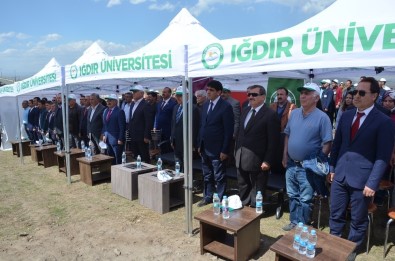 Iğdır Üniveristesi Suveren Kampüsü Ağaçlandırılıyor