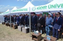 TURGAY ALPMAN - Iğdır Üniveristesi Suveren Kampüsü Ağaçlandırılıyor