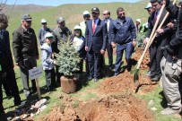 MEHMET AKBAŞ - Muş'ta '15 Temmuz Hatıra Ormanı' Oluşturuldu