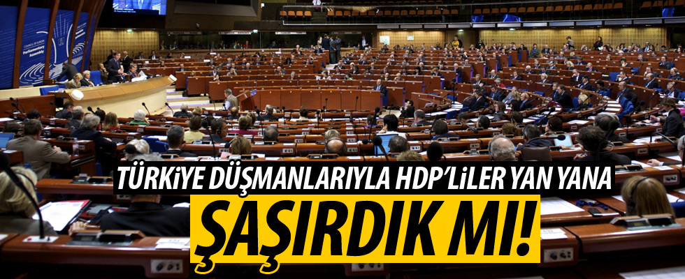 Türkiye aleyhine oy kullanan HDP'liler