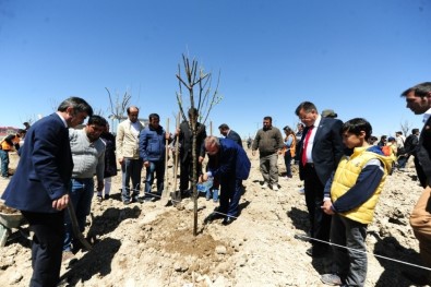 YYÜ'de Yeşillendirme Çalışması