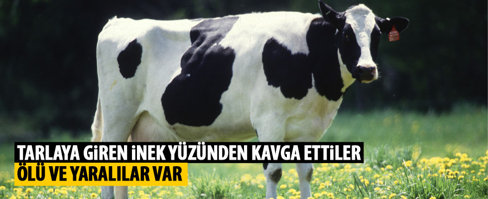 Diyarbakır Ergani'de silahlı çatışma