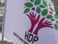 KONTROL NOKTASI - HDP'li vekil tahliye edildi
