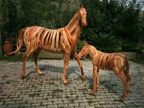 Ağaç Köklerinden Bakın Ne Yapıyor