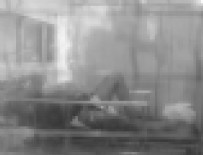 CINSEL ORGAN - Böyle intikam olmaz!