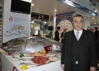 ORKİNOS - Brüksel Global Su Ürünleri Fuarı'na 'Group Sagun' Damgası