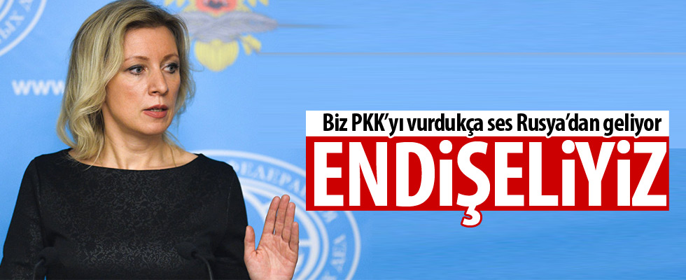 Ruslar PKK'nın vurulmasına tepkili