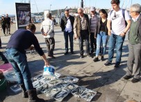 İZMARIT - Av Yasağı Olta Balıkçılarını Sevindirdi