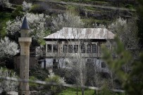 LATIF DOĞAN - Süleymaniye'de Eşsiz Bahar Güzelliği