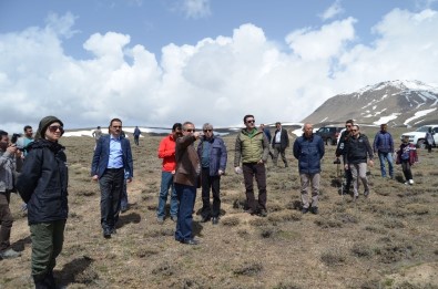 Adilcevaz'da Ortaçağ Hayatının Yaşanacağı Çadır Köy Kurulacak