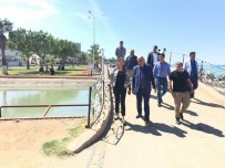 SAHİL YOLU - Başkan Seyfi Dingil, Sahil Peyzaj Çalışmalarını Yerinde İnceledi
