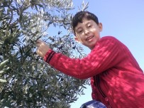 TUANA - Minibüs ile hafif ticari araç çarpıştı: 2 ölü, 2'si ağır 9 yaralı