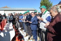 AKIF PEKTAŞ - Şarkışla Gümüştepe Köyünde 'Pancar Ekim Töreni' Yapıldı