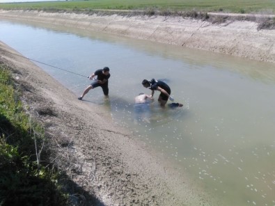 Sulama Kanalında Bulunan Erkek Cesedinin Kimliği Belirlendi