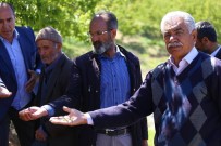 TARSIM - Zirai Donun Vurduğu Kayısıdaki Hasar Tespit Çalışmaları