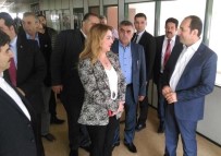 REZZAN BAYRAM - Bakan Yardımcısı Çiftci, Çocuklarla Buluştu