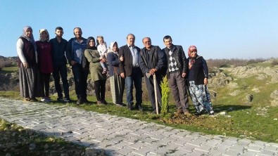 Balıkesir'de Ağaç Dikmeyene Kız Verilmeyecek