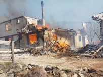 Çankırı'da Köy Yangını Açıklaması İlk Belirlemelere Göre 25 Ev Yandı Haberi