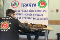 KAÇAK EŞYA - Çorabın İçinden Binlerce Sülük Çıktı