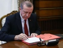Cumhurbaşkanı Erdoğan'dan 54 kanuna onay