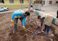 AHMET OKTAY - Haliliye'deki Parklarda Mevsimsel Çalışmalar Devam Ediyor