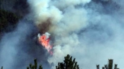 Kastamonu'daki Orman Yangını 20 Saatte Kontrol Altına Alındı