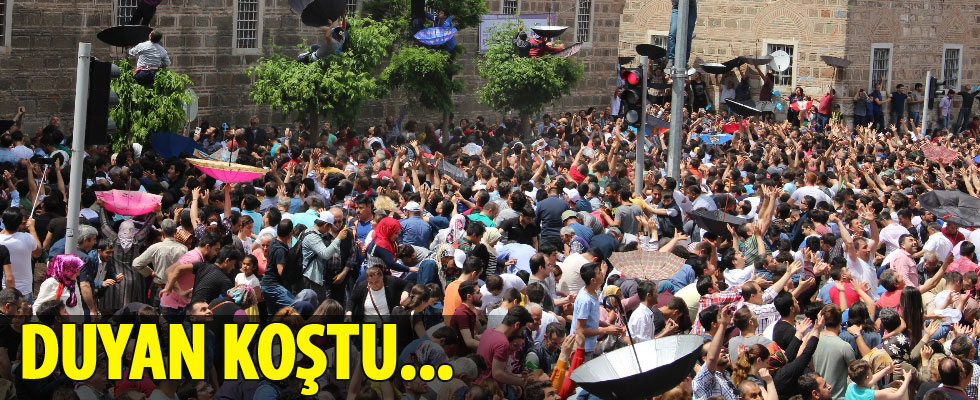 43 noktadan 6 ton mesir macunu dağıtıldı