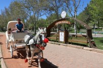 FAYTON - Malatyalılar Faytonu Sevdi