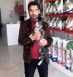 SOKAK KEDİSİ - Zehirlenen Kediyi Fabrika İşçisi Kurtardı