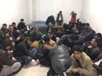 GÜMRÜK MUHAFAZA EKİPLERİ - 76 Kaçak Göçmen Karbonmonoksit Ölçüm Cihazı İle Yakalandı