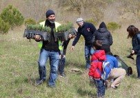 DURUSU - ÇEKÜD Ve Atikder Öncülüğünde 10 Bin Fidan Dikildi