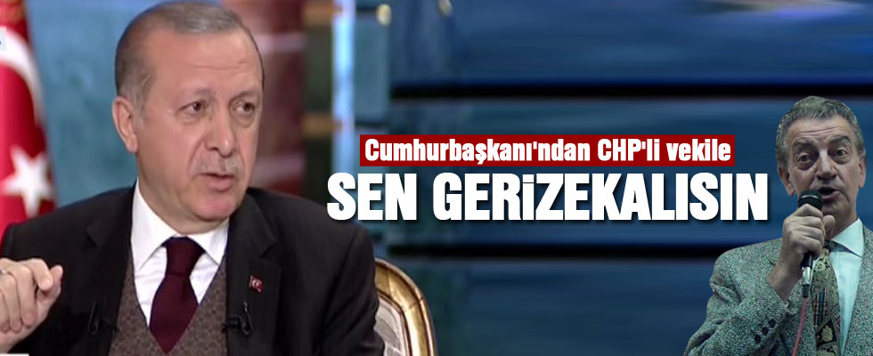 Cumhurbaşkanı'ndan CHP'li vekile: Sen geri zekalısın