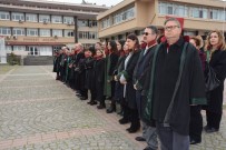 YASA TASLAĞI - Sinop'ta Avukatlar Günü Kutlandı