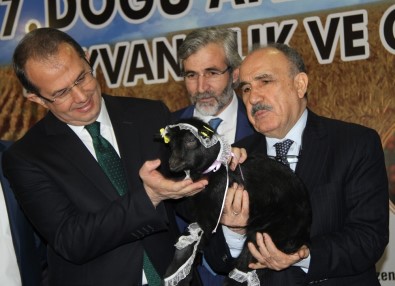 7. Doğu Anadolu Tarım, Hayvancılık Ve Gıda Fuarı Açıldı