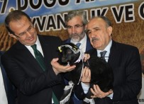 İBRAHIM TAŞYAPAN - 7. Doğu Anadolu Tarım, Hayvancılık Ve Gıda Fuarı Açıldı