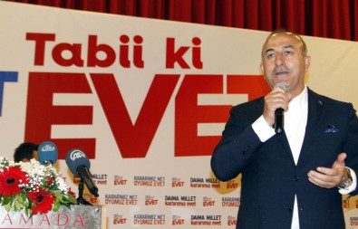 Bakan Çavuşoğlu 'Hayır'cı Milliyetçilere Seslendi