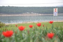 PELITÖZÜ - Bilecik Pelitözü Gölpark Bu Yaz Çok Daha Güzel Olacak