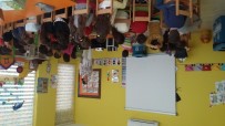 NEŞE ERBERK - Bodrum'da Anaokulu Ve Kreşlerde Çevre Eğitimi