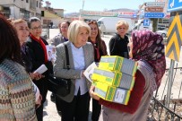 KOCAÖZÜ - CHP Kadın Kolları Hekimhan'da 'Hayır' Çalışması Yaptı