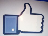 ZÜRIH - Facebook'ta beğendi hayatı karardı!