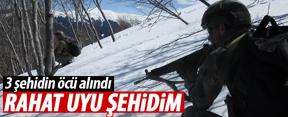 Hakkari ve Şırnak'ta operasyon