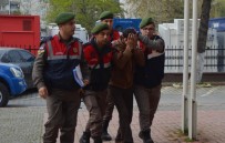 DOĞANCA - Hayvan Hırsızlığı Zanlıları Yakalandı