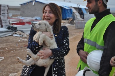 Kadın Milletvekili Günay'ın Köpek Sevgisi