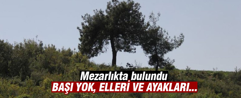 Adana'da mezarlıkta başsız erkek cesedi bulundu