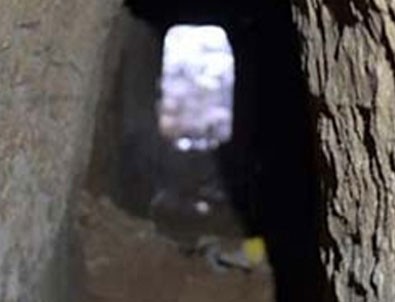PKK'dan tehlikeli adım! Önce tünel şimdi de...