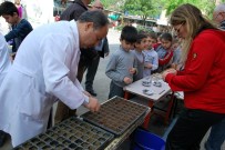 OKUL PROJESİ - Yerel Tohumlar Minik Ellerde Fide Olacak