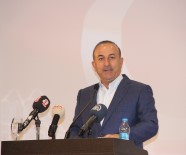 ADEM MURAT YÜCEL - Bakan Çavuşoğlu Açıklaması 'Yarını Düşünerek Sistemi Güçlendirmemiz Gerekiyor'